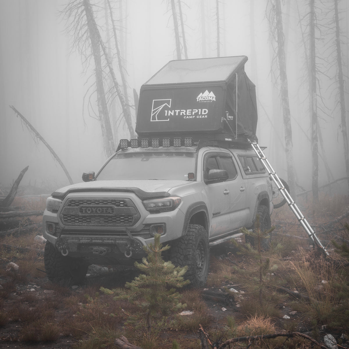 Intrepid Geo 2.5 Rooftop Tent — Overland Depot